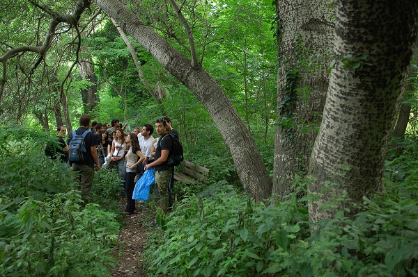 Forest Field Trip